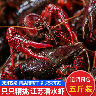 清水龍蝦與專(zhuān)業(yè)龍蝦調(diào)料的完美融合